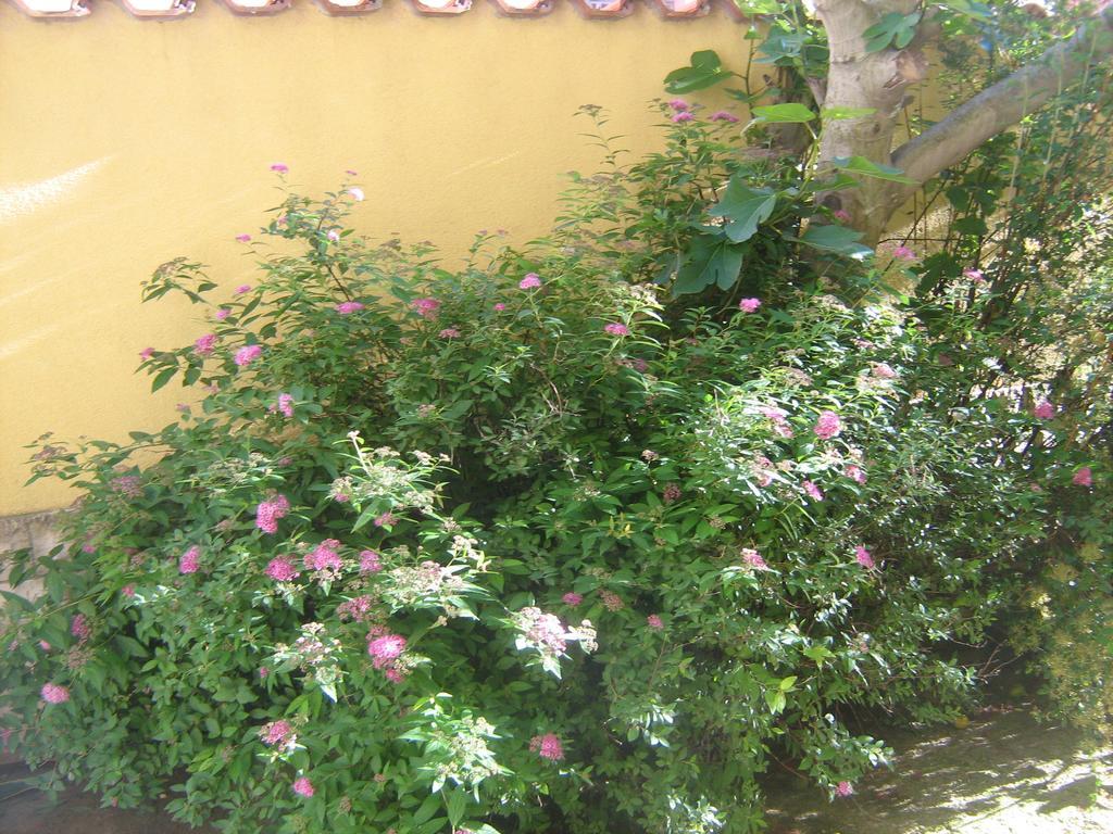 Jacqueline Apartment Pula Luaran gambar